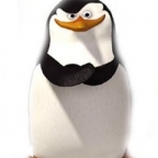 SirBoss