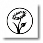 anesta