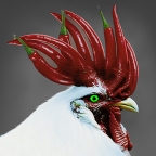 chillikohout