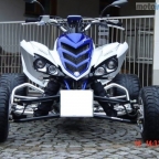Brouk20