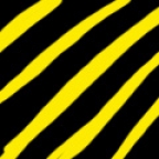 vcela5