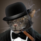Baron Tom