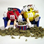 mr.smoke