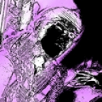 paraNoX