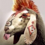 Fáfule