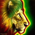 Tafari_Jay