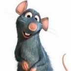 Kořas
