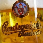 PanBudvar