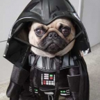 Darth Vader
