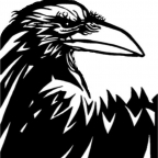 Raven.