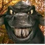 HIglander21