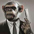 Mr.Chimp