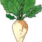 vysavacepapuce