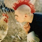 MCErikGallo