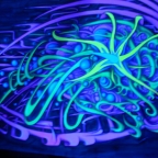 Emodelic