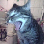 Renona
