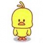 PidaPOO