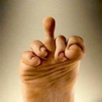 fingerol