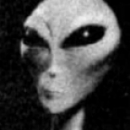 Krupica