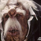 Vogon