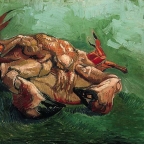 krab_na_zadech