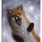 hans.foxxx