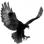 BlackEagle