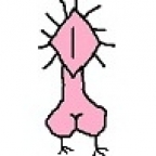 Pičokohut