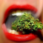 Needmoreweed