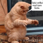 FoFík