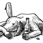 aardvark