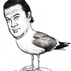 Steven Seagull