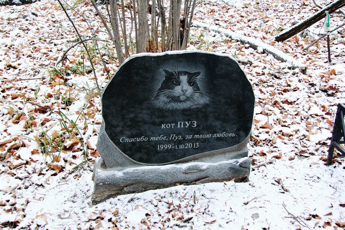 Мне хорошо памятны. Надгробие для кота. Надписи на надгробиях питомцами. Памятник для кота на могилу. Памятник собаке.