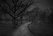 Noční Central Park