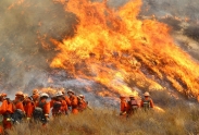 Lesní požáry v Kalifornii