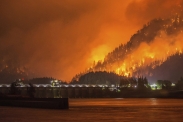 Lesní požáry v Kalifornii