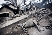 Následky výbuchu sopky Merapi