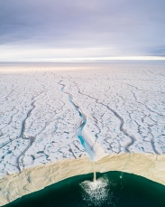 Arktická příroda