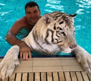 Mihail Tiger (foto + video)