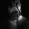 Boby_Mercer