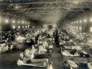 Španělská chřipka (1918-20)
