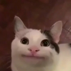 duronx